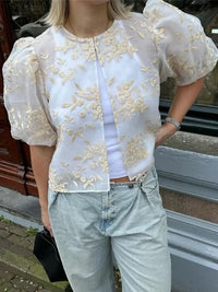 Feminine transparente Spitzen- und Mesh-Bluse